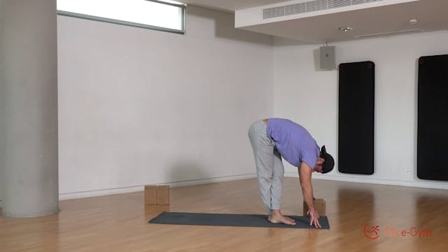 New to Yoga με τον Ίων Μάγγο