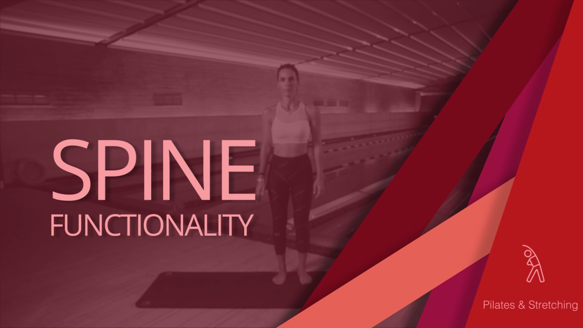 Spine Functionality με την Σοφία Μπούρου