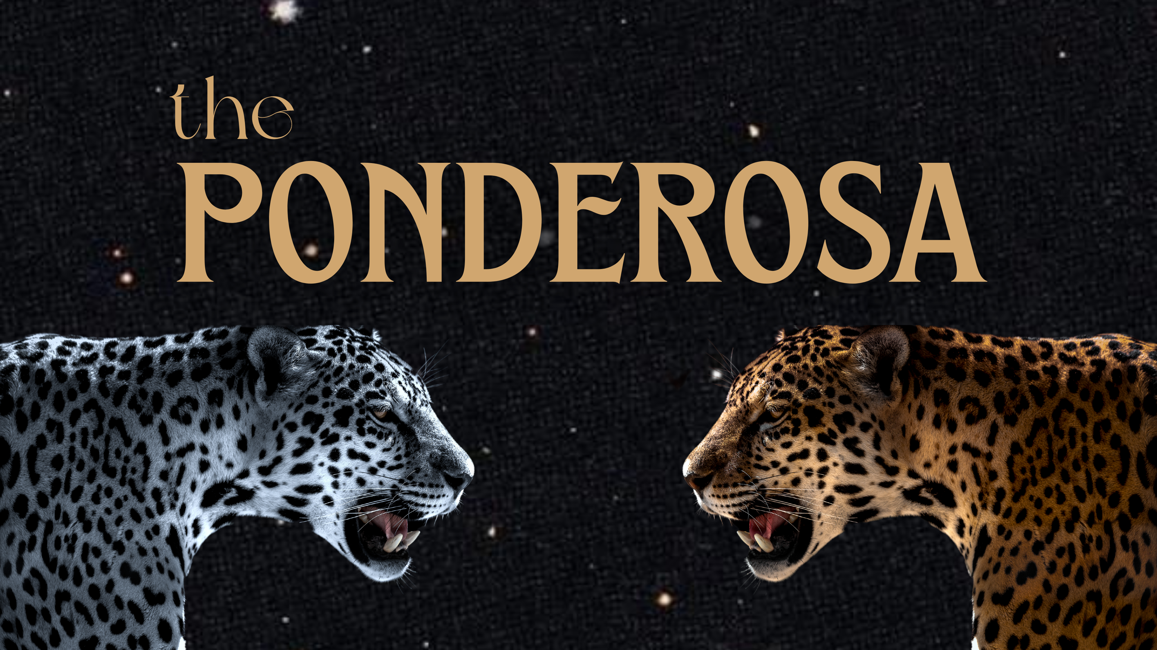 The Ponderosa