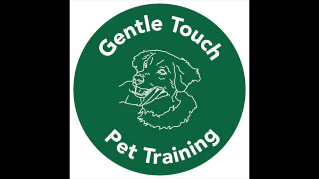 Elementary Clicker Training Final Week 5