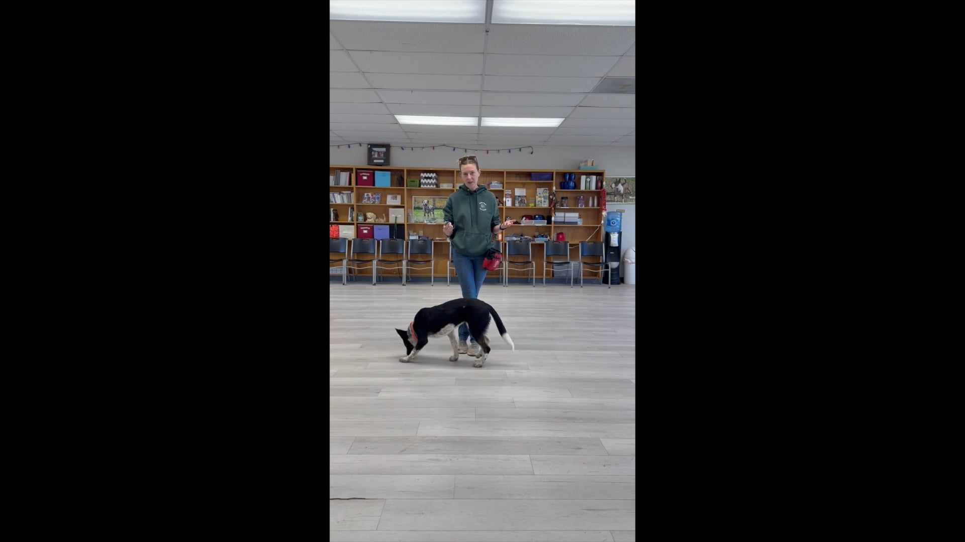 Gentle Touch Pet Training