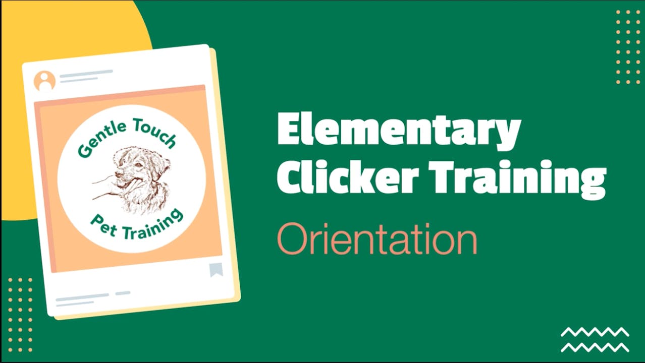 Elementary Click Training Online