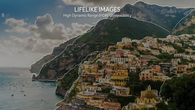 apologise, but, opinion