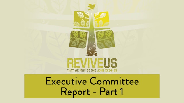 SBC13 | 3 - Executive Committee Report - Part 1