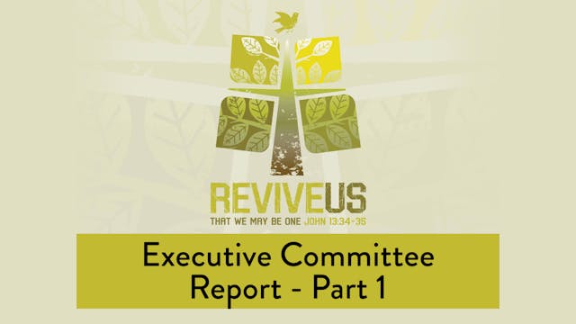 SBC13 | 3 - Executive Committee Repor...
