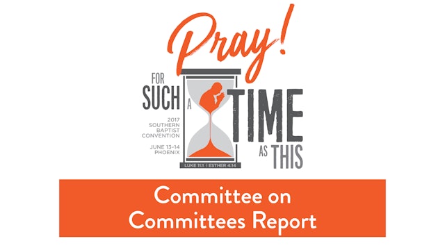 SBC17 | 11 - Committee on Committees Report