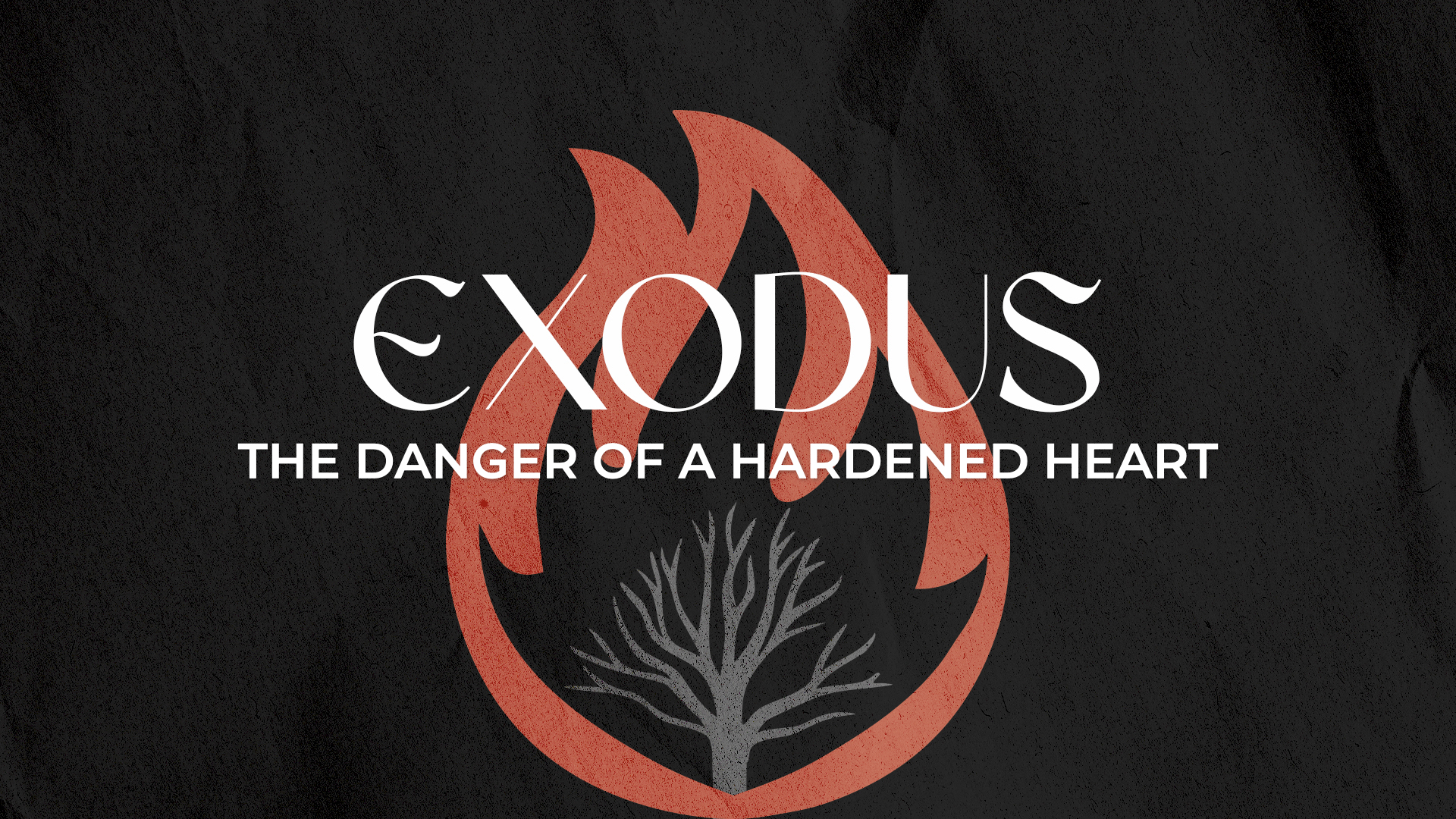 The Danger of a Hardened Heart