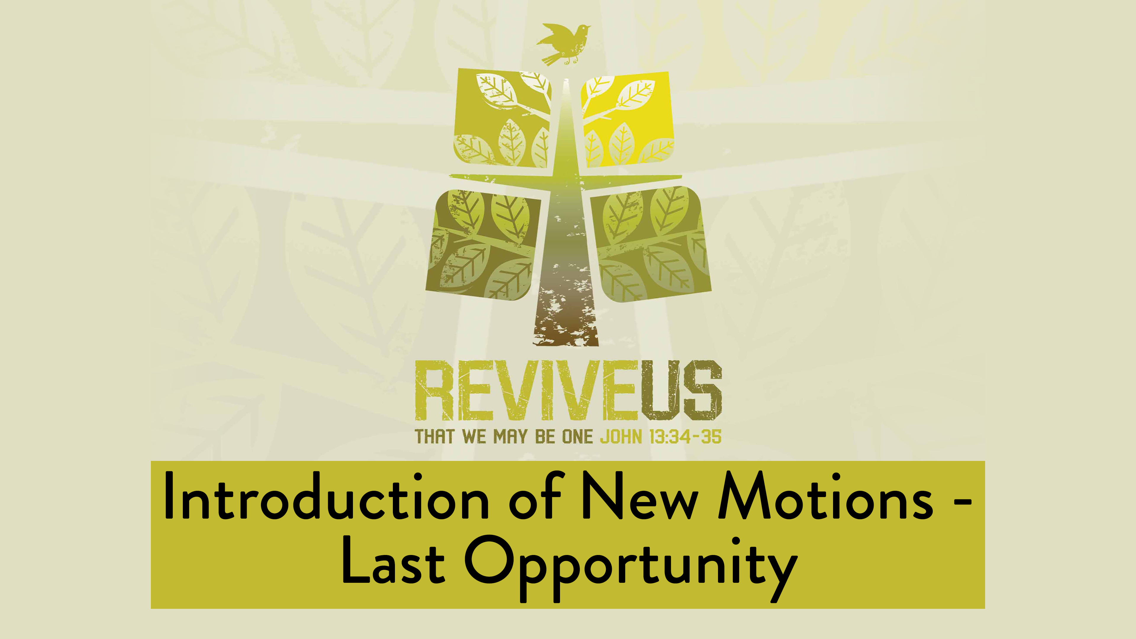 SBC13 | 19 - Introduction of New Motions - Last Opportunity