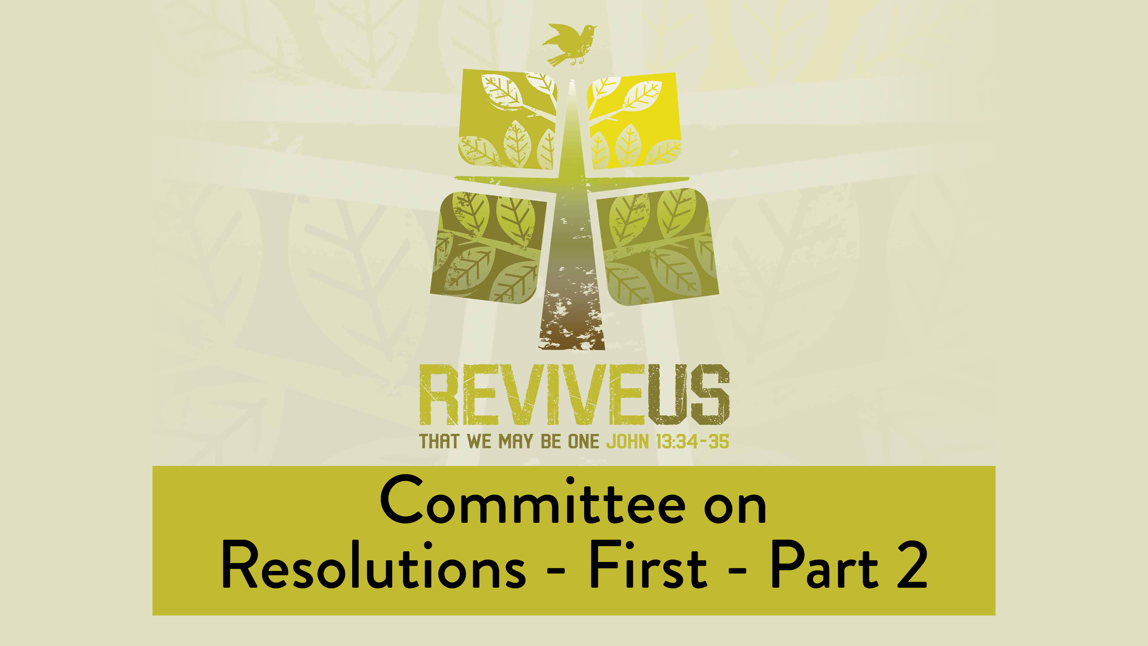 SBC13 | 35 - Committee on Resolutions - First - Part 2