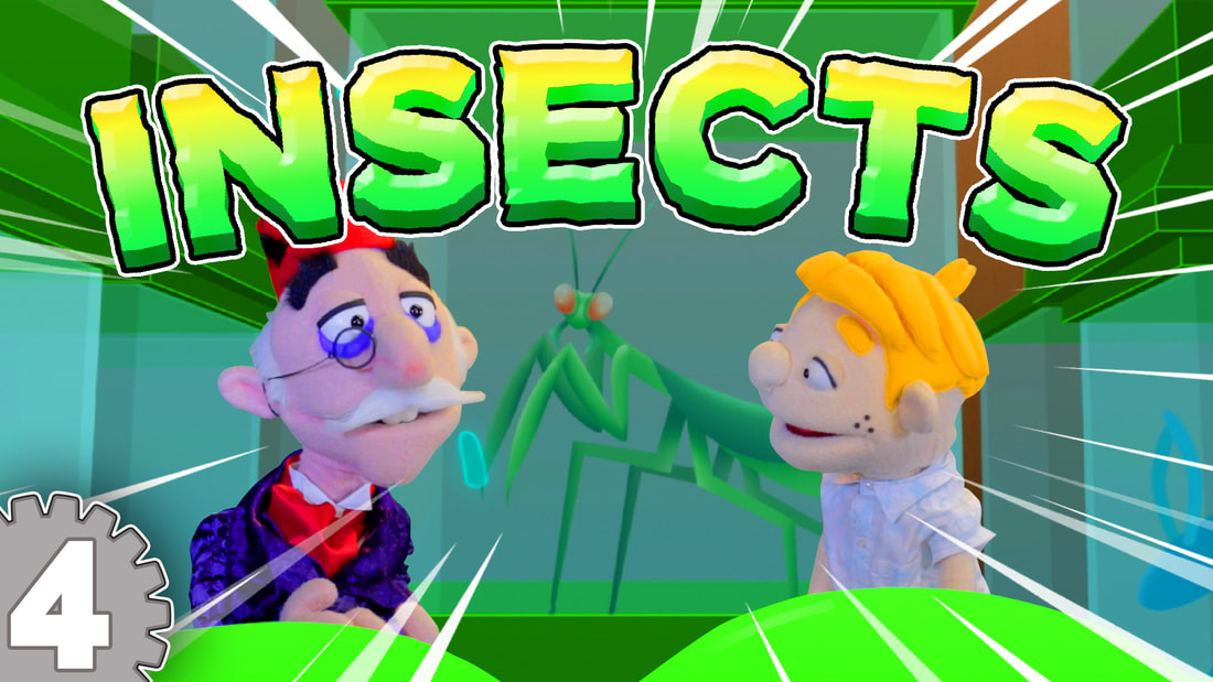 Chester's Garage | "It Just Bugs Me"