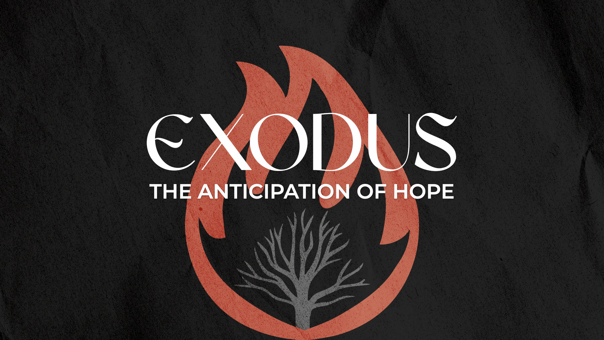 The Anticipation of Hope