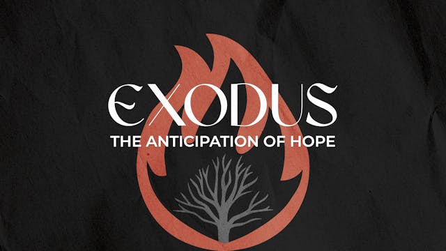 The Anticipation of Hope