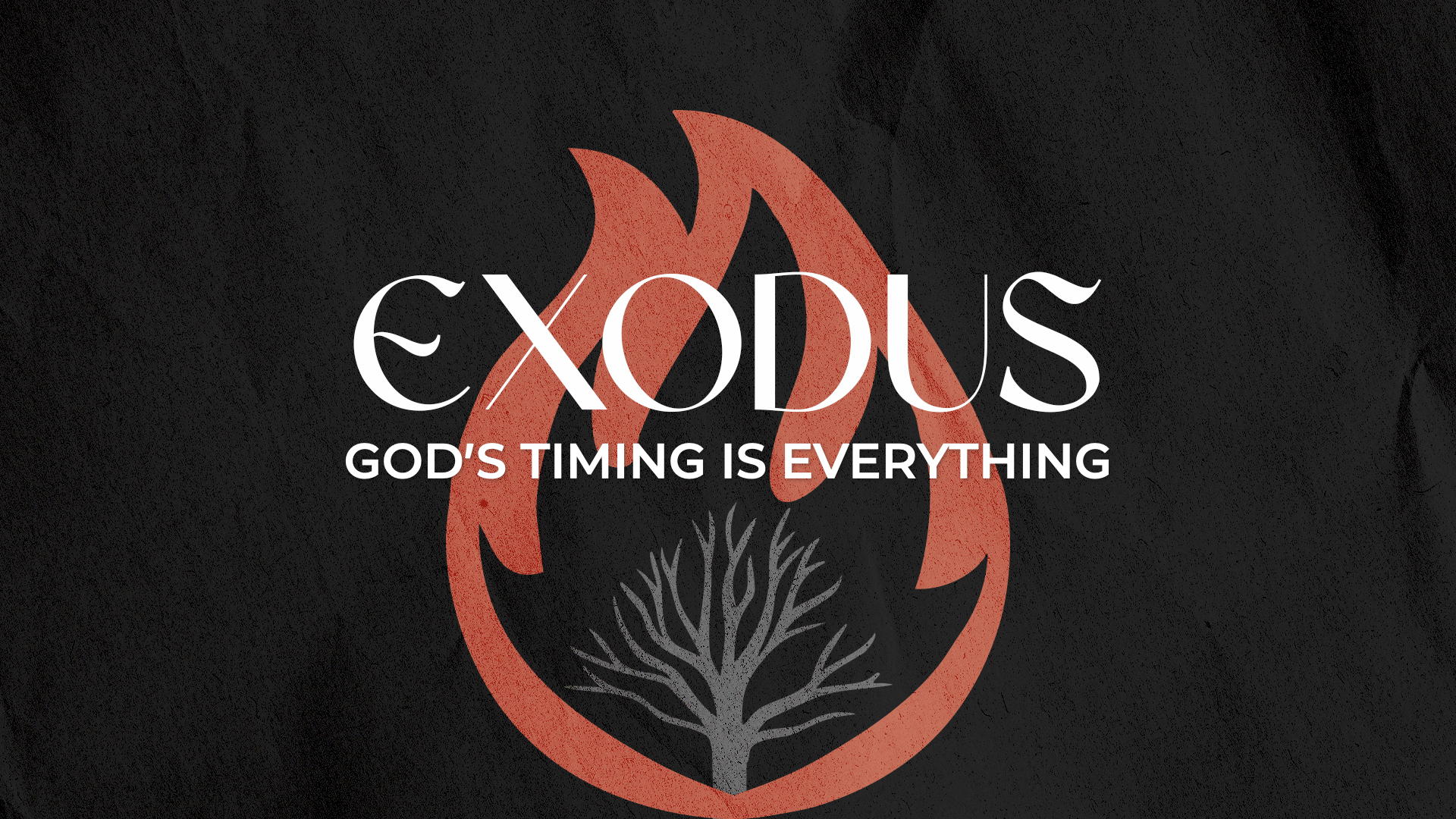 God’s Timing is Everything