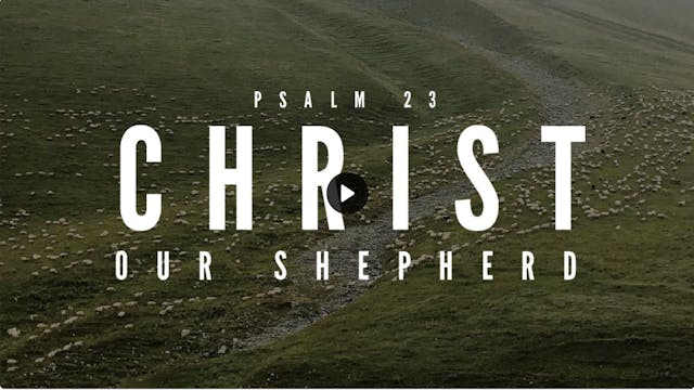 Christ our Shepherd: FBC Woodstock - ...