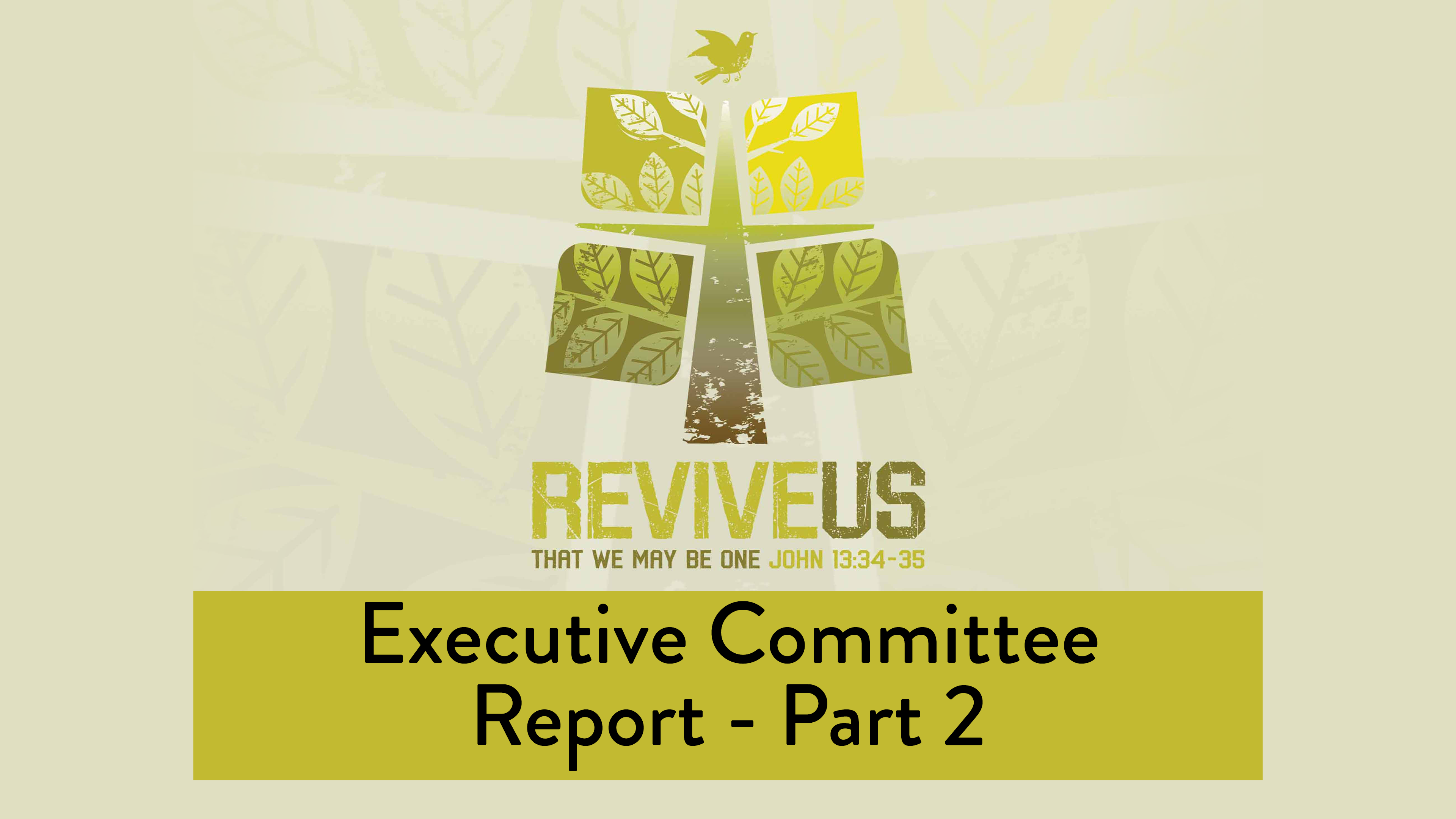 SBC13 | 12 - Executive Committee Report - Part 2