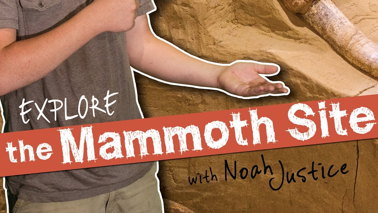 The Mammoth Site
