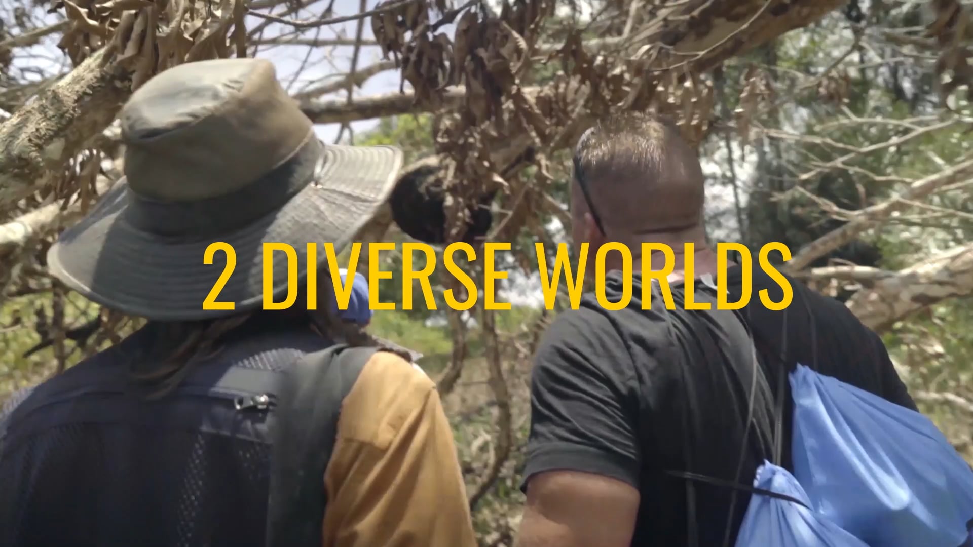 Forget the Gifts - The Amazon