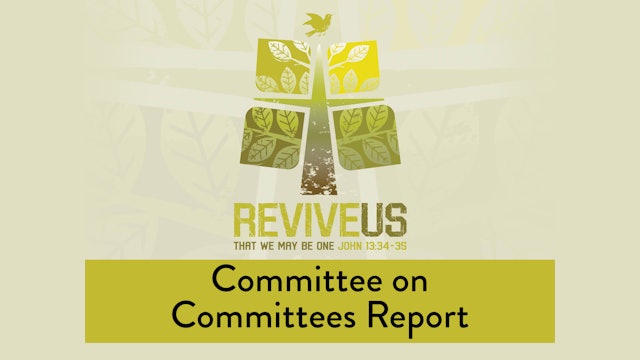 SBC13 | 28 - Committee on Committees Report