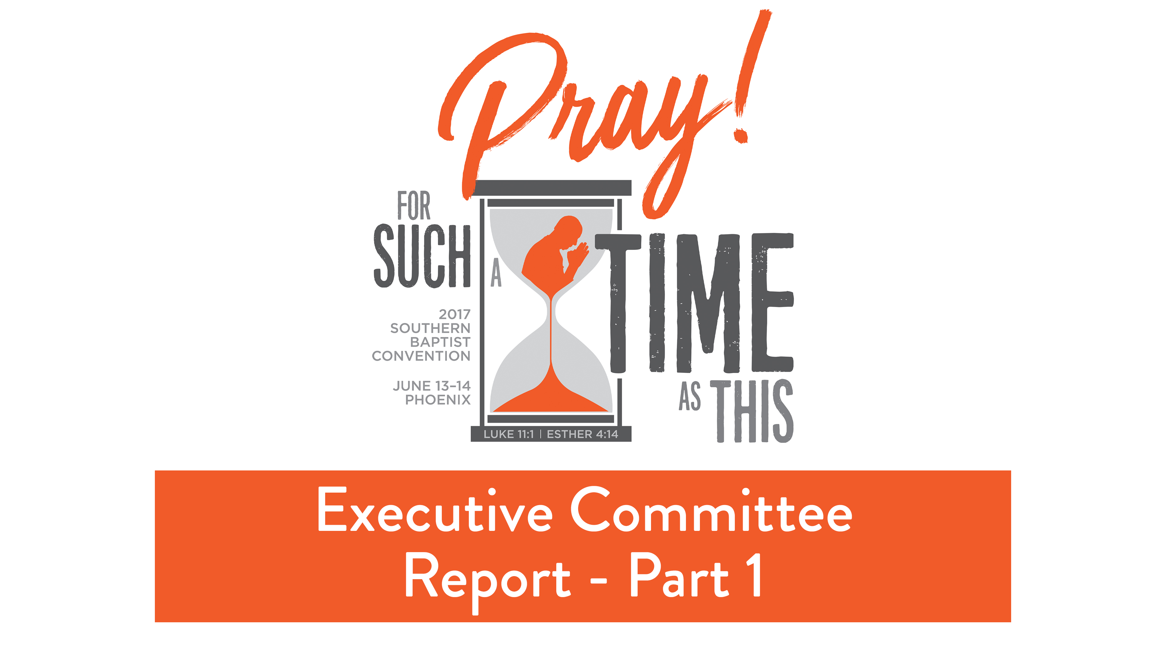 SBC17 | 4 - Executive Committee Report - Part 1