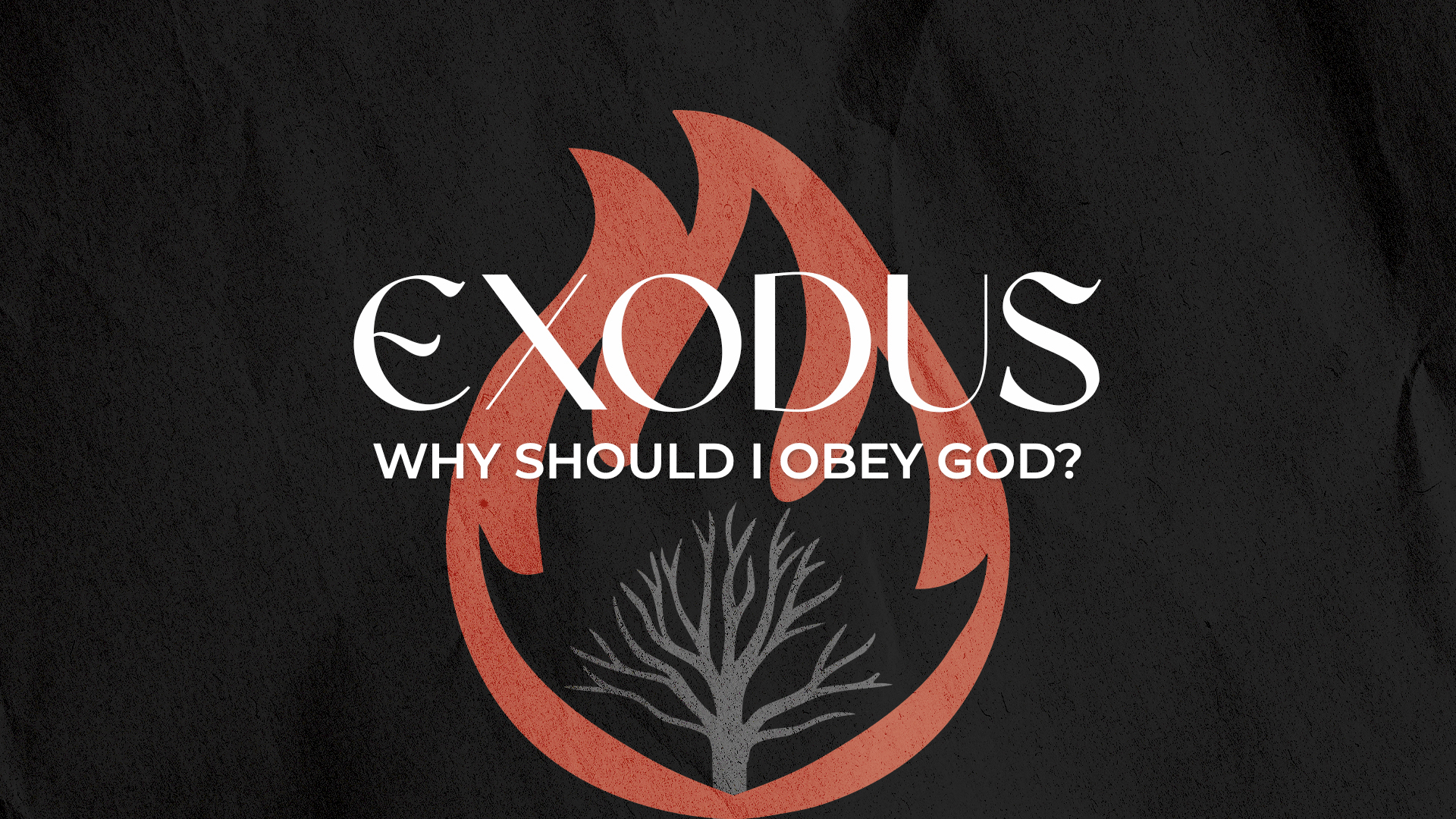 Why Should I Obey God?