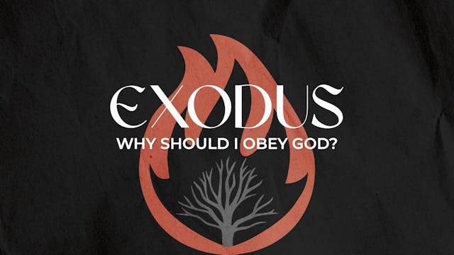 Why Should I Obey God?