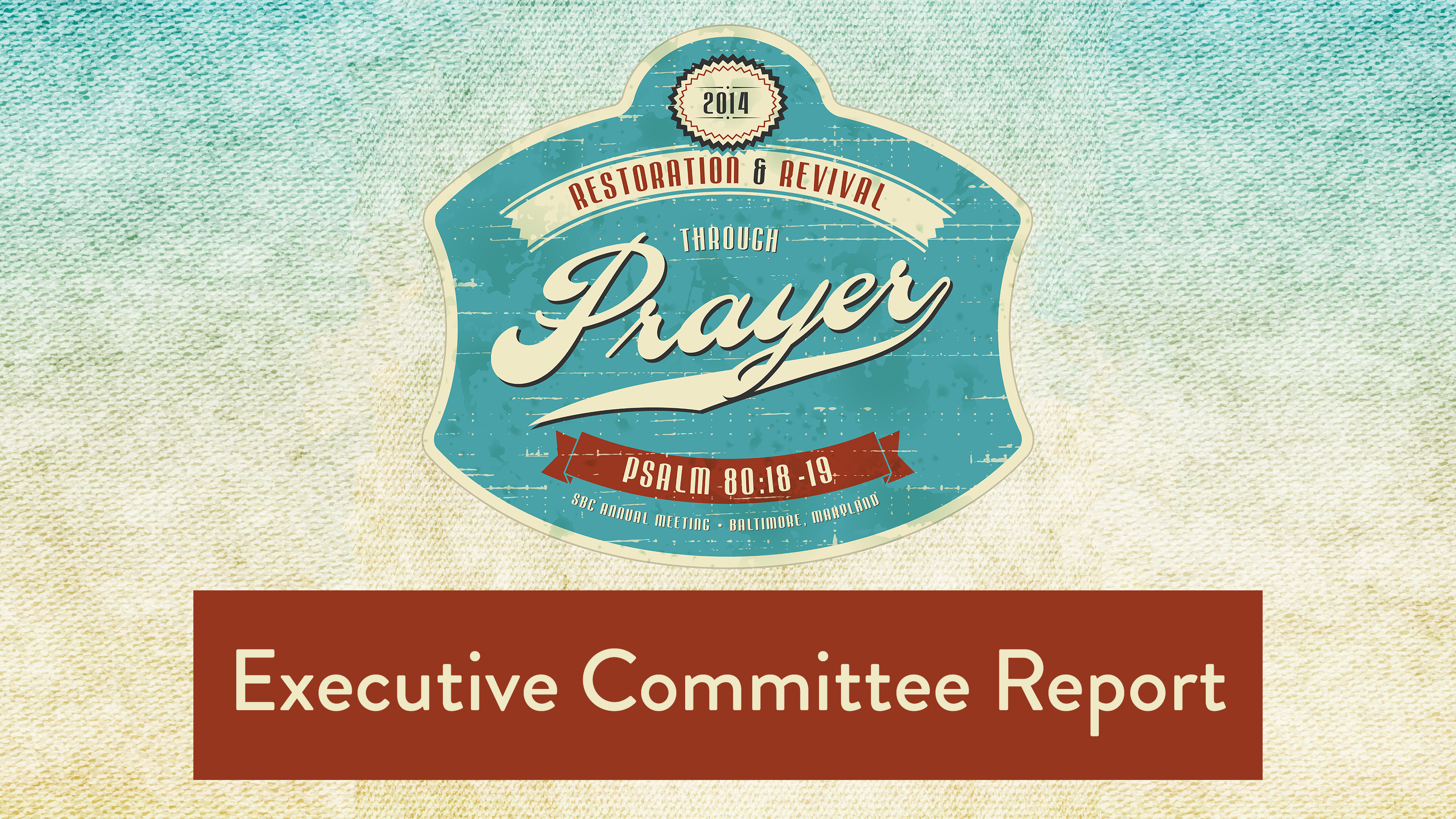 SBC14 | 13 - Executive Committee Report