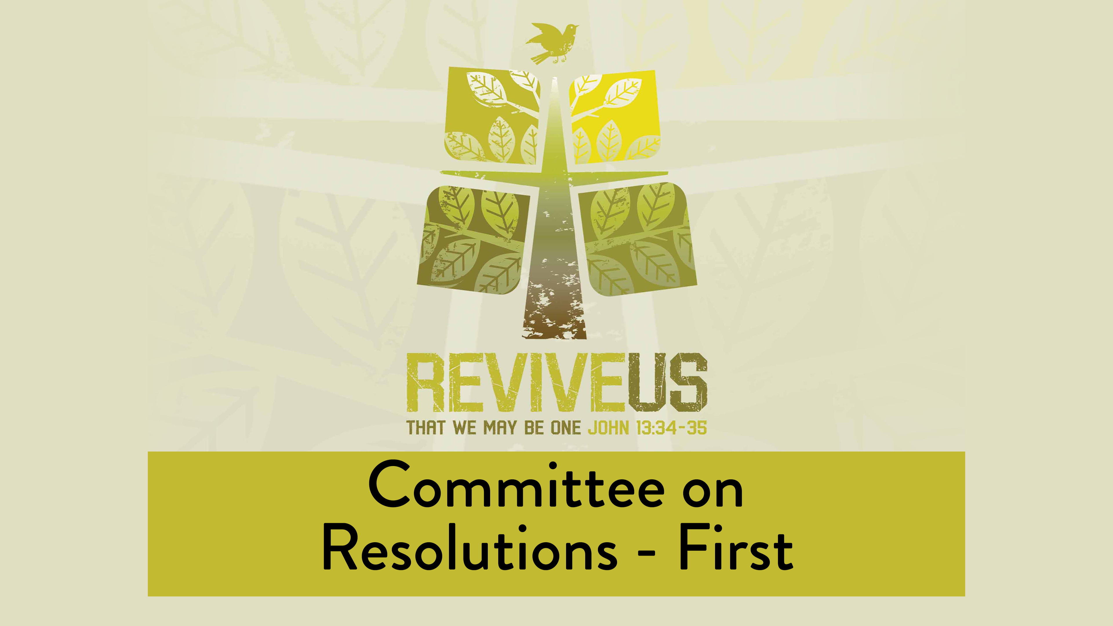 SBC13 | 34 - Committee on Resolutions - First