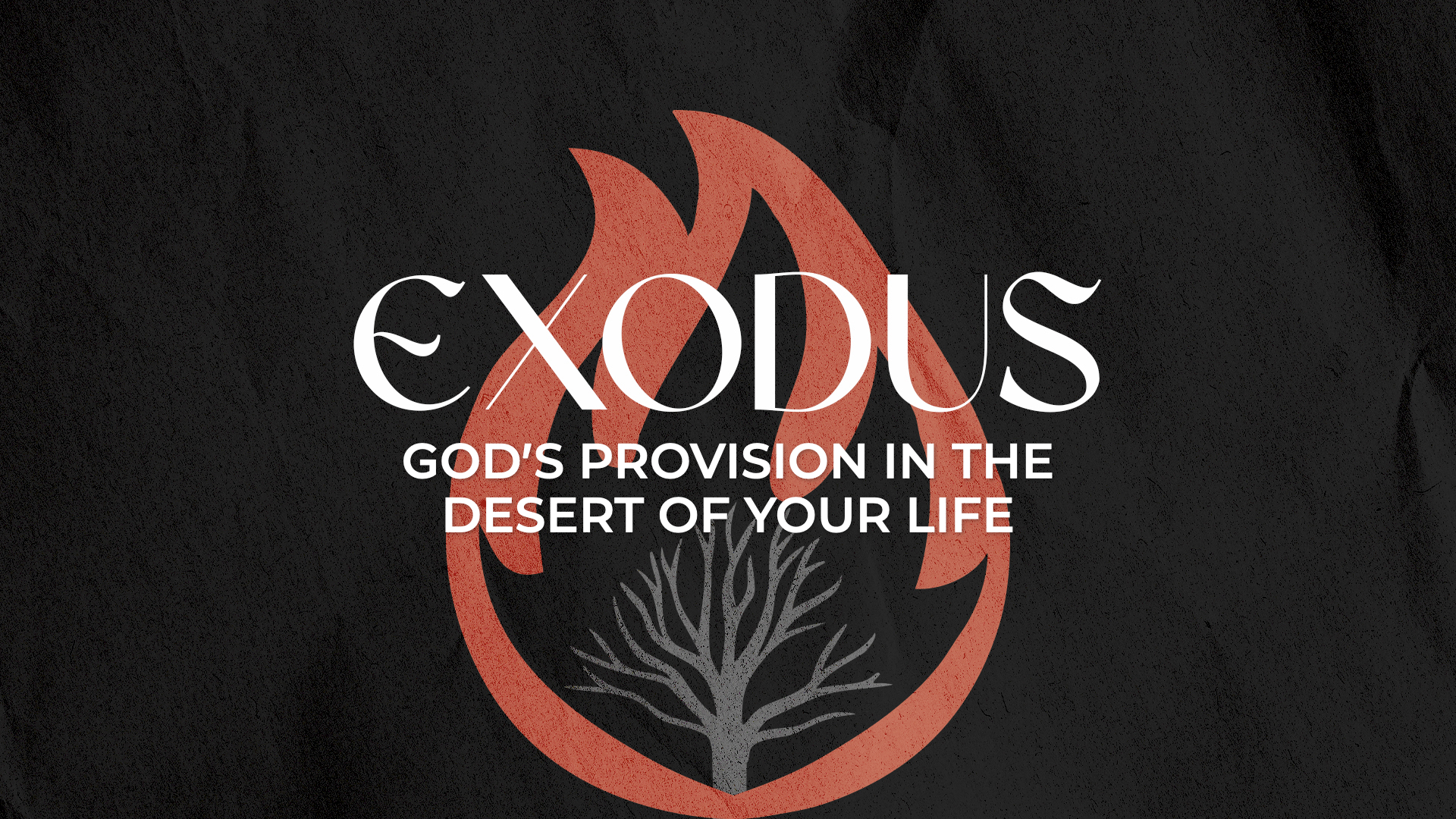 God’s Provision in the Desert of Your Life