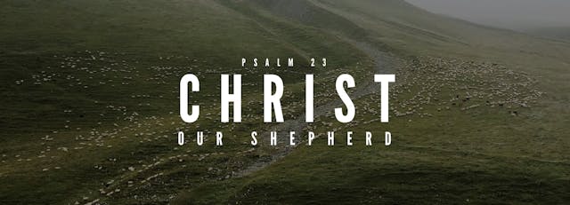 Christ Our Shepherd: FBC Woodstock - ...