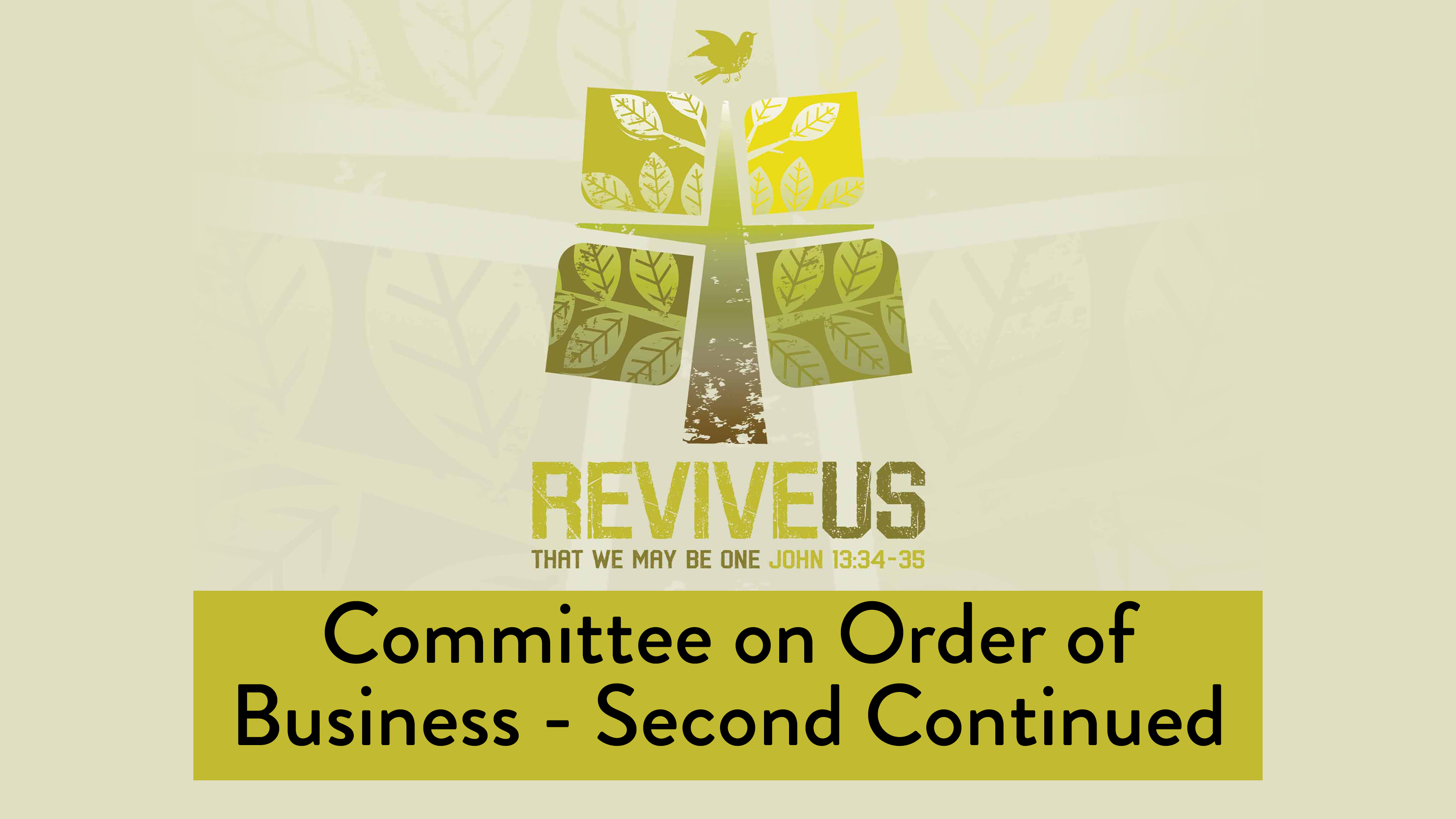 SBC13 | 11 - Committee on Order of Business - Second Continued
