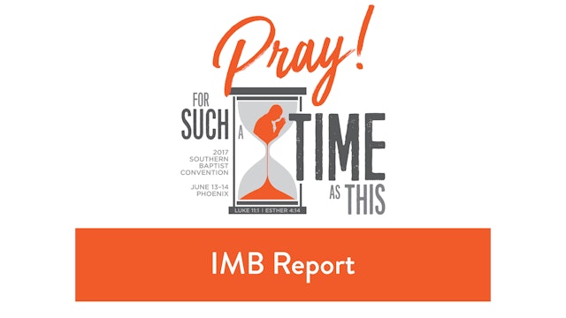 SBC17 | 31 - IMB Report