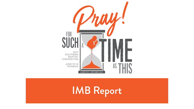 SBC17 | 31 - IMB Report