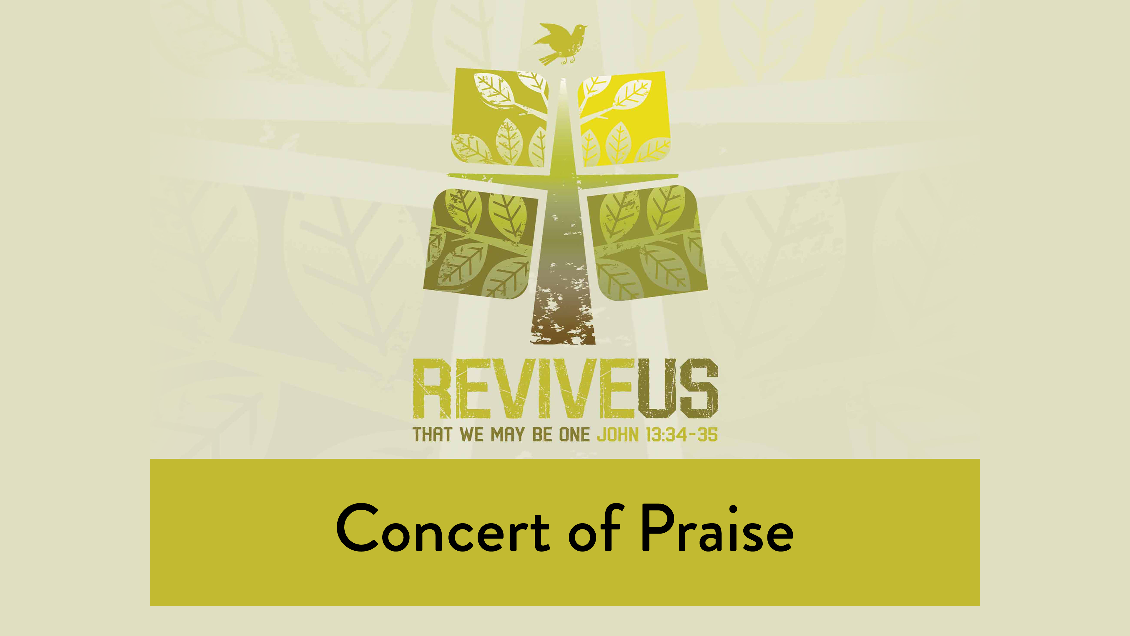 SBC13 | 8 - Concert of Praise