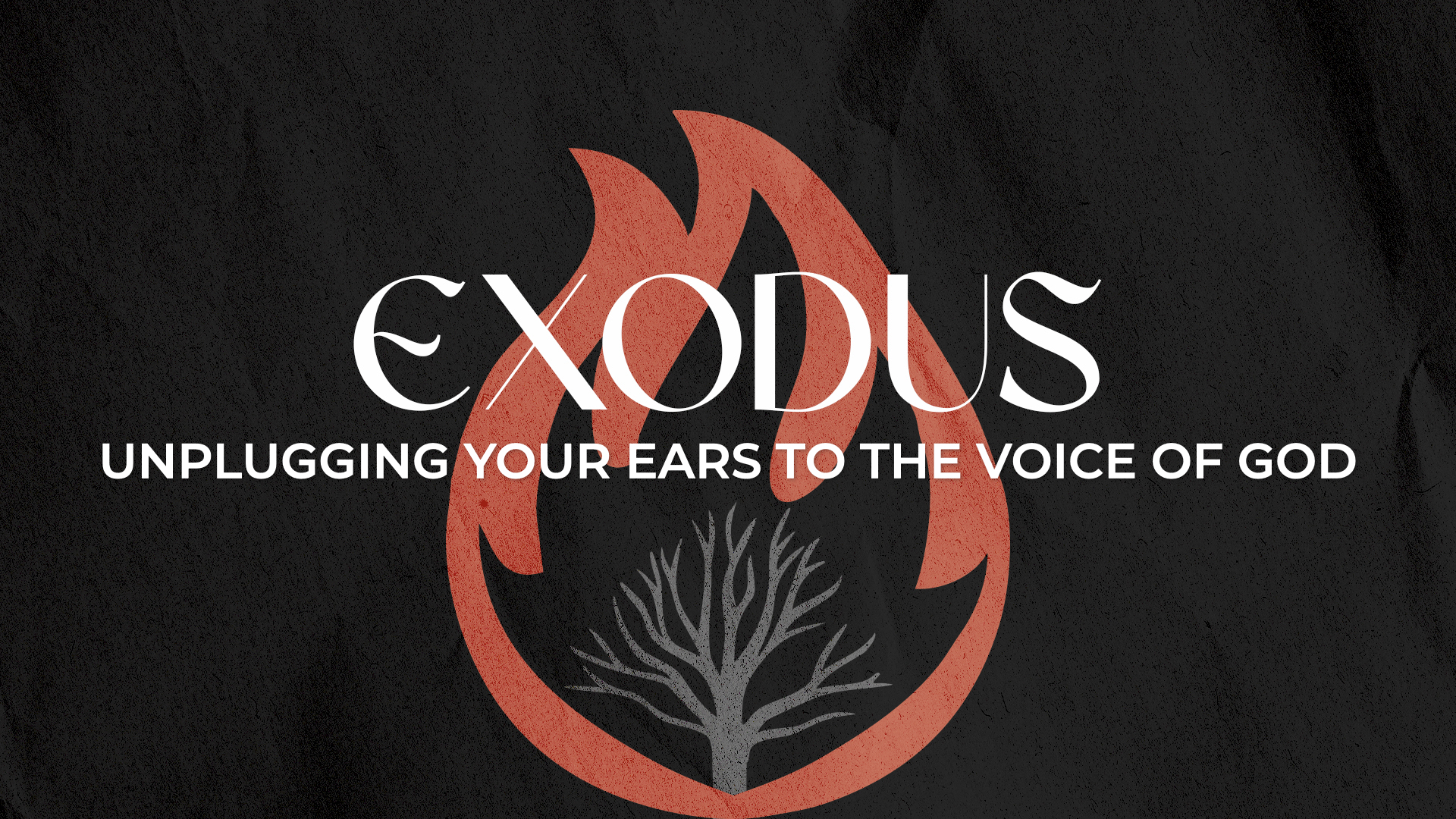 Unplugging Your Ears to the Voice of God