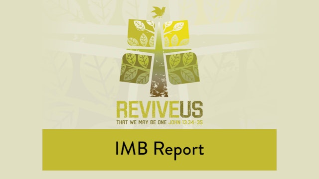 SBC13 | 33 - IMB Report