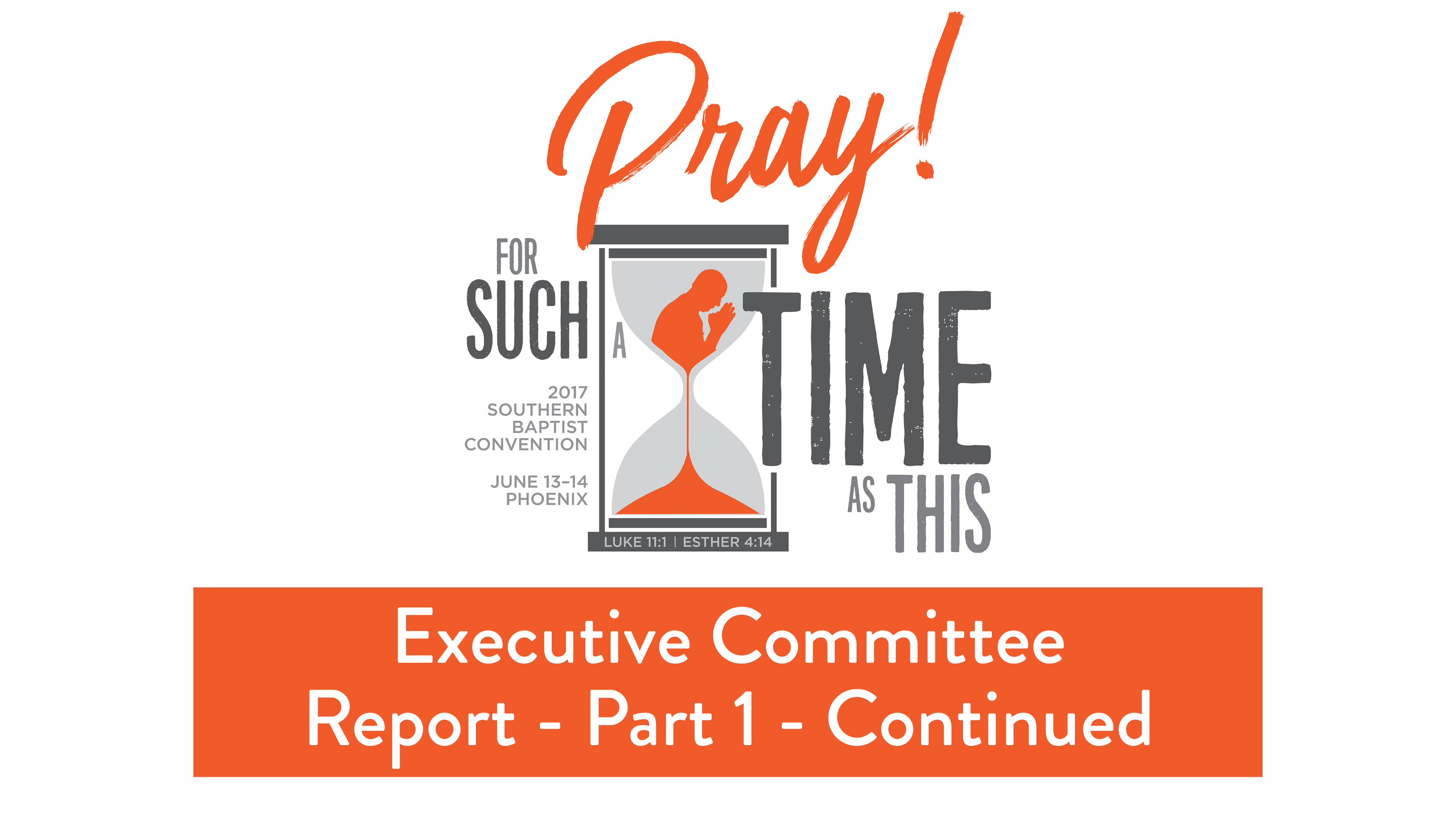 SBC17 | 5 - Executive Committee Report Part 1 - Continued