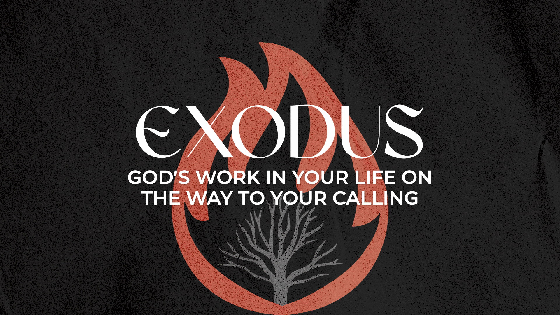 God’s Work in Your Life on the Way to Your Calling