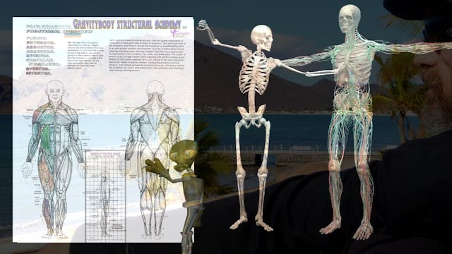 Gravity Body Academy Structural Anatomy 3-Part Series