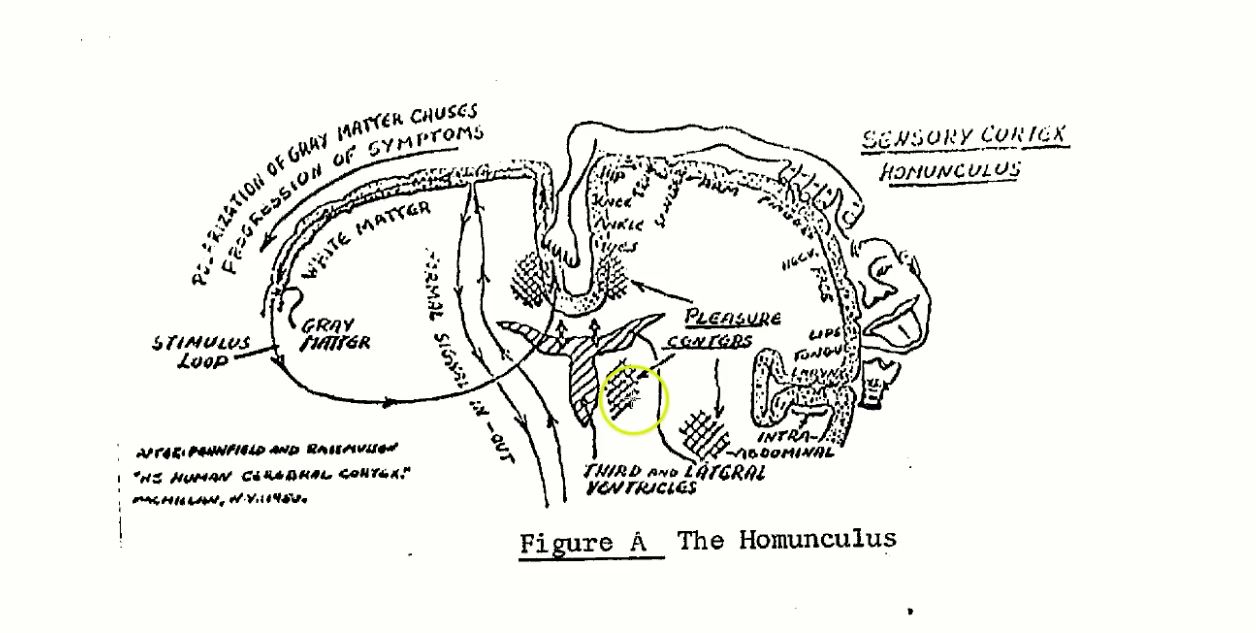 Military Intel and Monroe Institute Gateway Experience 2