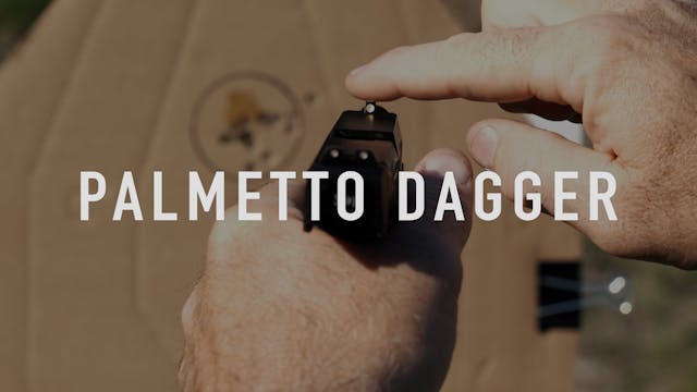 Palmetto Dagger EDC Update