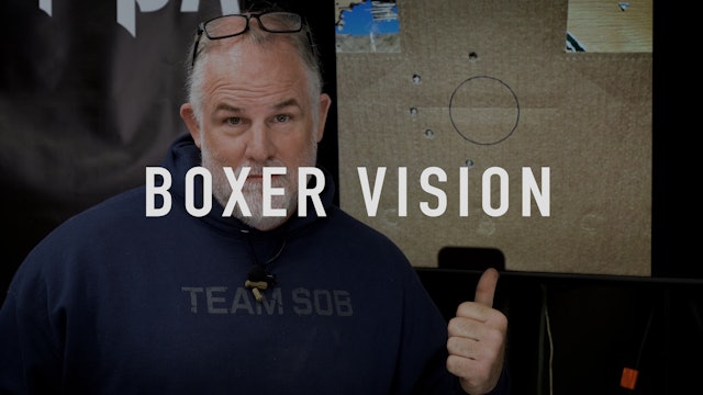Boxer Vision