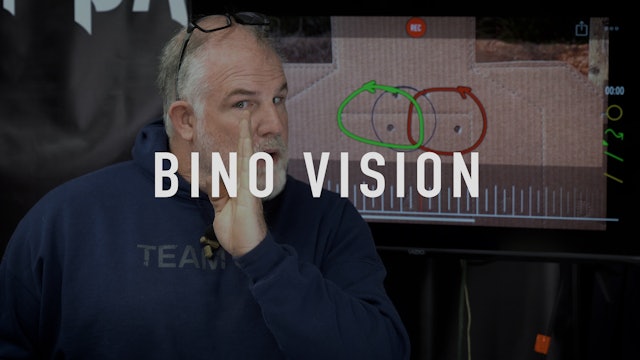 Bino Vision