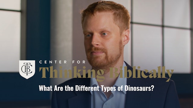 What Are the Different Types of Dinosaurs?