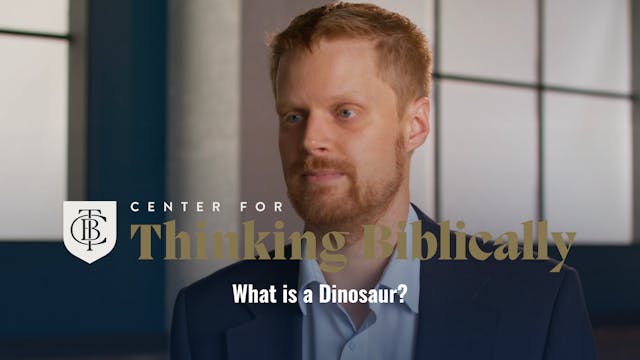 What is a Dinosaur?