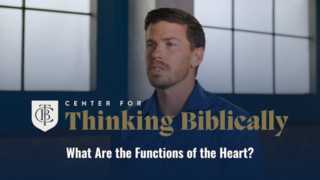What Are the Functions of the Heart?