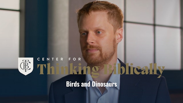 Birds and Dinsosaurs