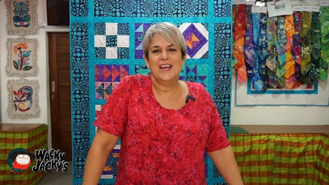 Beginner's Quilt Series Part 1 GICS11...