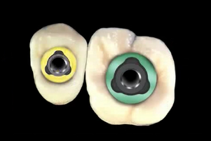 Staff Training Systems for the Clinical Assistants: Responsibilities for Each T