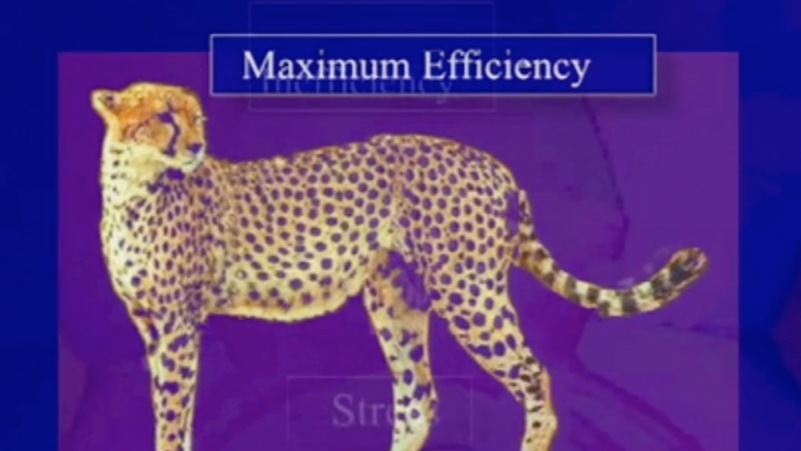 Endodontic Rotary Instrumentation: How to achieve maximum efficiency while elim