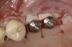 LIVE LECTURE & PLANNING SESSION and Q&A | Dr Sascha A Jovanovic 